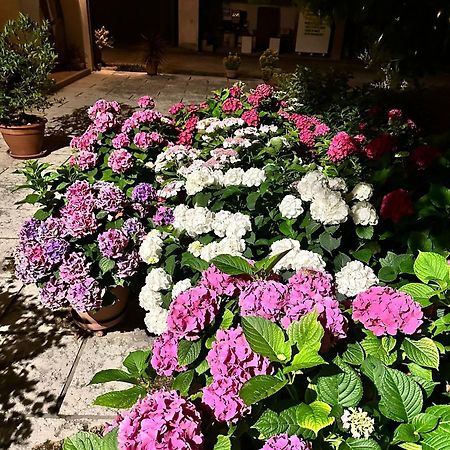 B&B Le Ortensie Castagnole 외부 사진