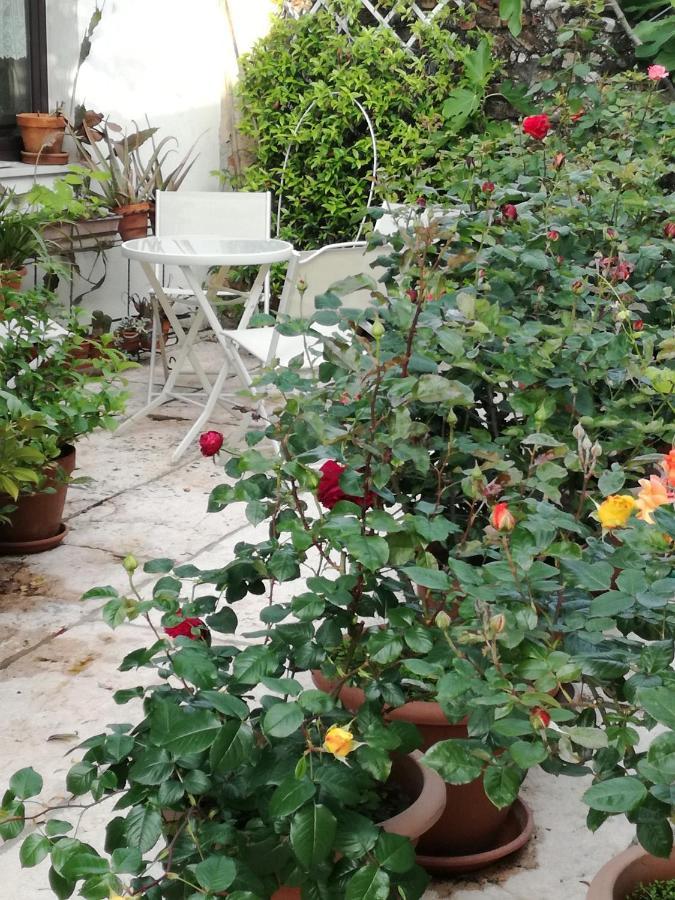 B&B Le Ortensie Castagnole 외부 사진