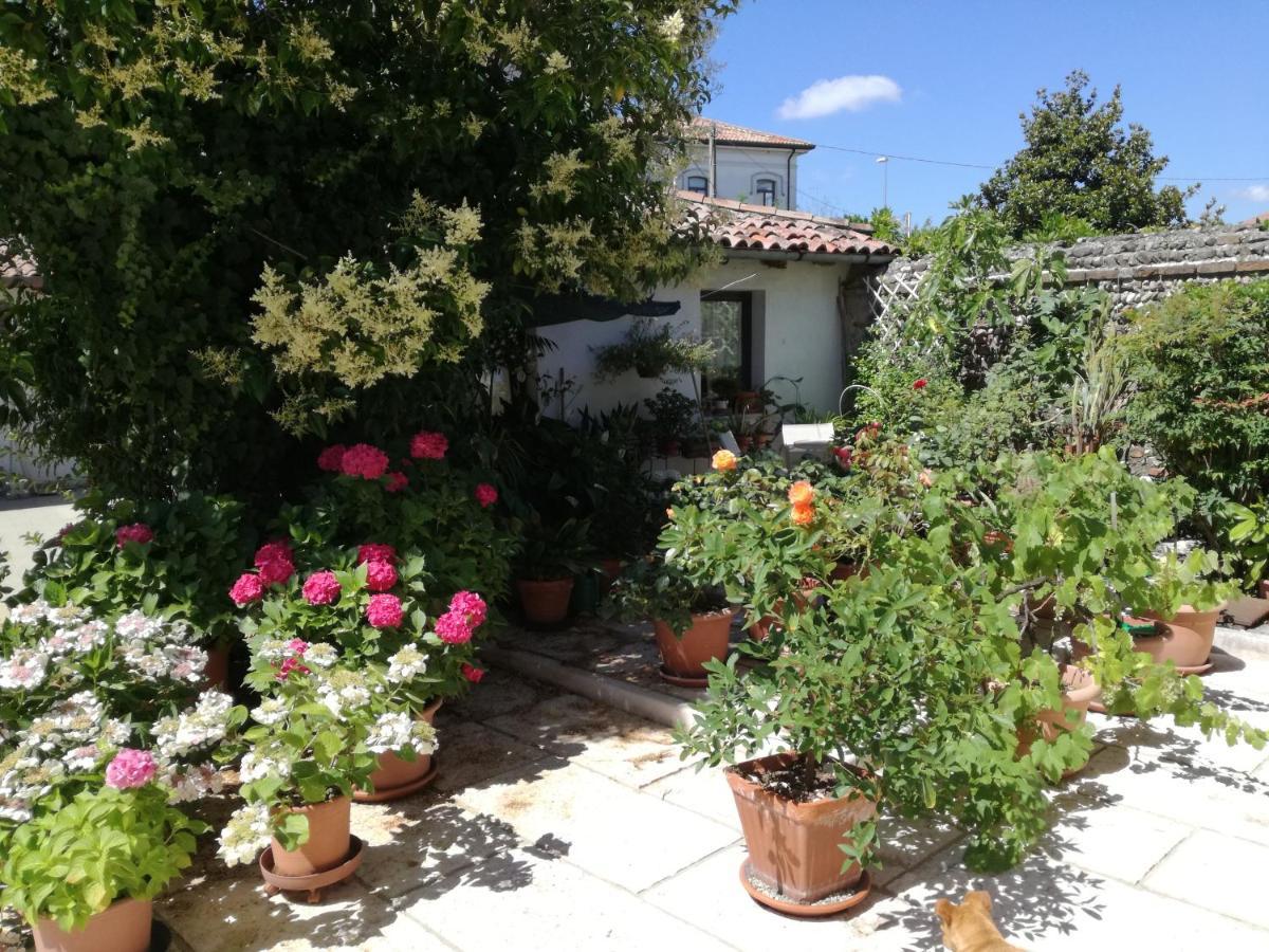 B&B Le Ortensie Castagnole 외부 사진