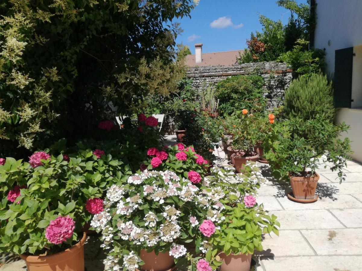 B&B Le Ortensie Castagnole 외부 사진