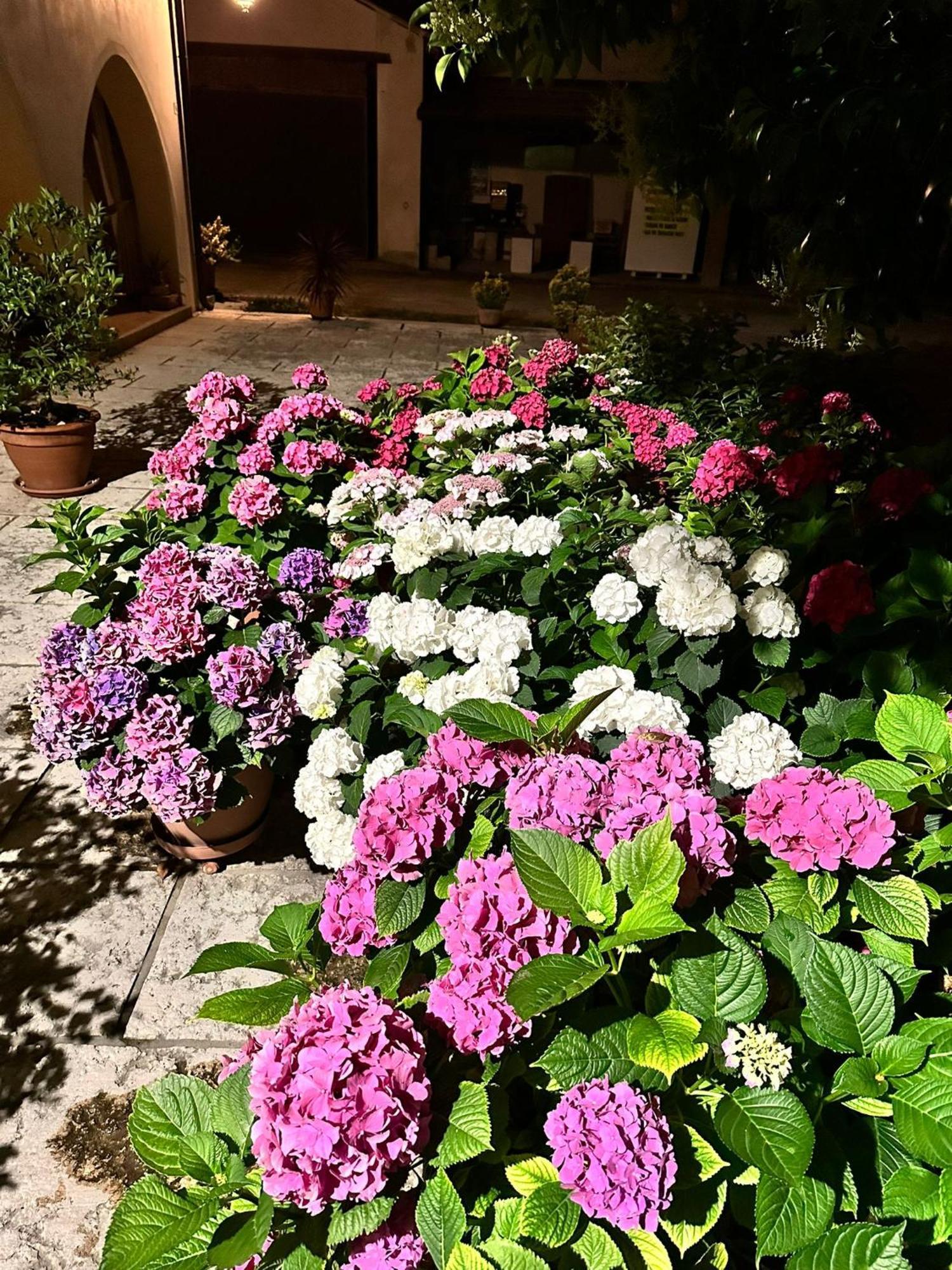 B&B Le Ortensie Castagnole 외부 사진